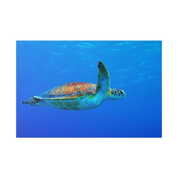 10240 - Sea Turtle Cruising - Canvas, Stretched Ready to Hang. - Image 2