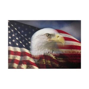 Bald eagle head against American flag.