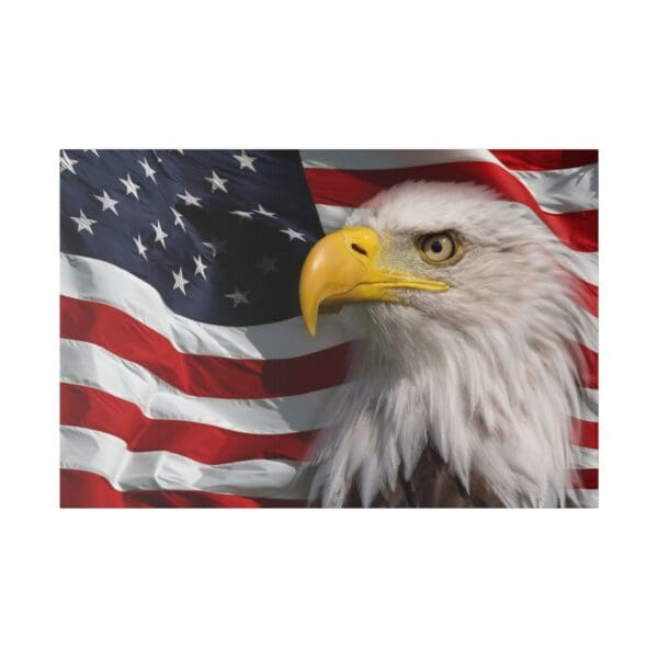 Bald eagle looking over American flag.