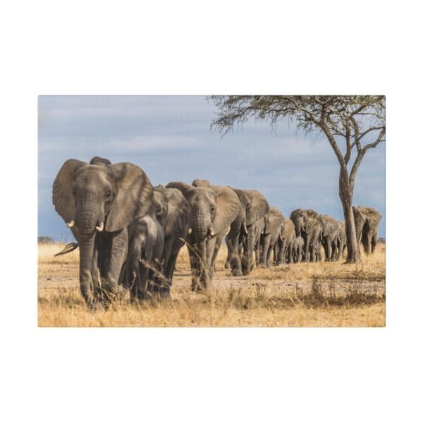 10268 - Elephant Line - Canvas, Stretched Ready to Hang! - Image 4