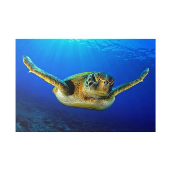 10245 - Sea Turtle Cruising II - Canvas, Stretched Ready to Hang.