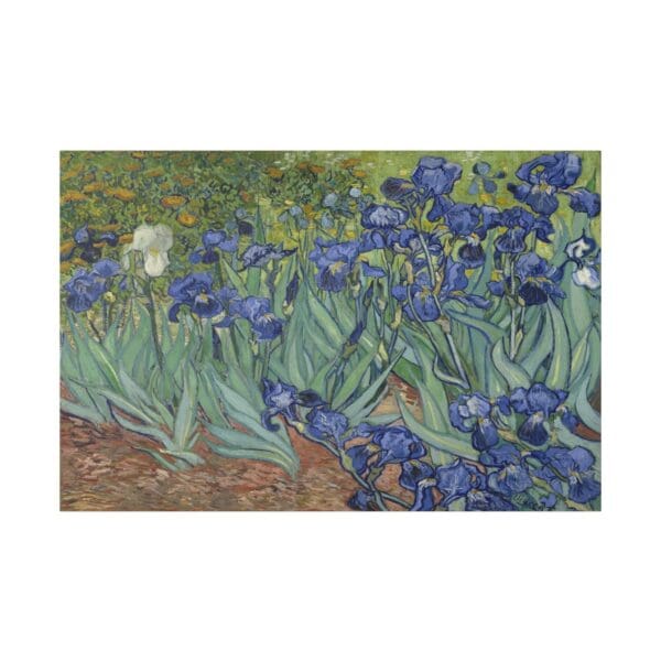 10301 - Van Gogh, Irises - Canvas, Stretched Ready to Hang! - Image 2