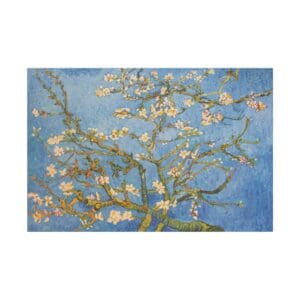Almond blossom tree against a blue sky.