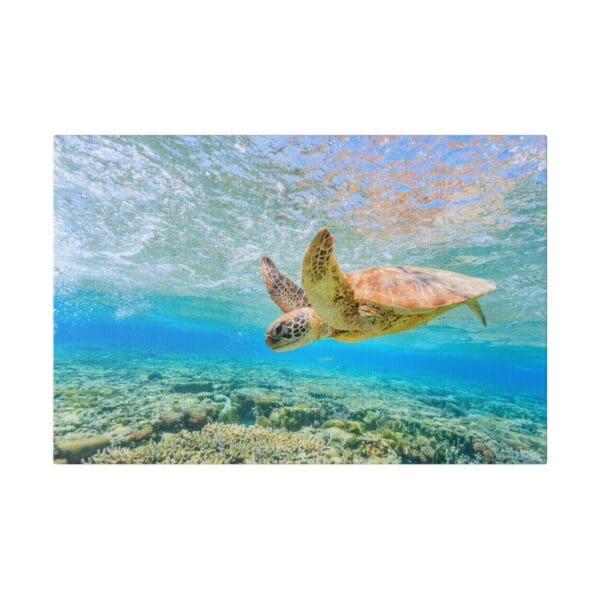 10228 - Sea Turtle Dive - Canvas, Stretched Ready to Hang. - Image 4