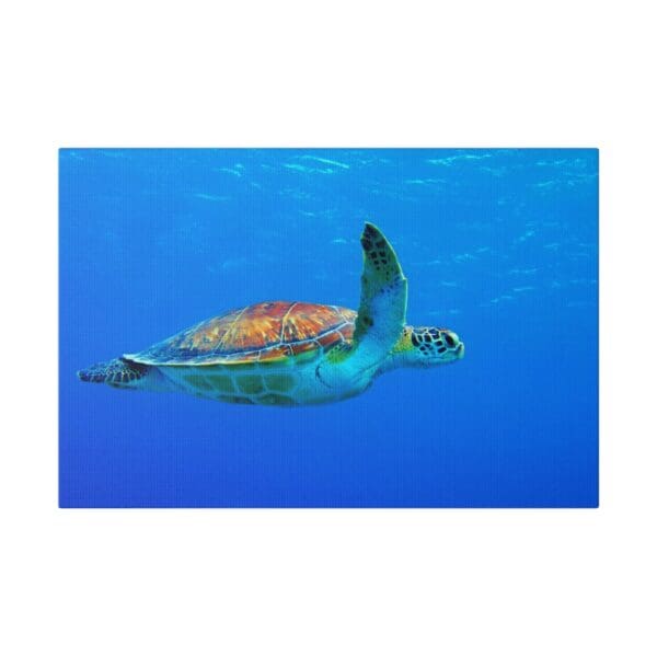 10240 - Sea Turtle Cruising - Canvas, Stretched Ready to Hang. - Image 4