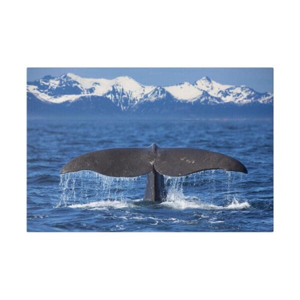 10203 - Whale Tail Winter - Canvas, Stretched Ready to Hang. - Image 4