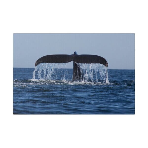 10205 - Whale Tail Up - Canvas, Stretched Ready to Hang. - Image 4