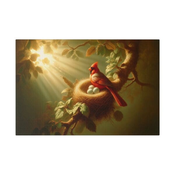 60704 - Cardinal Sun Nest II - Canvas, Stretched Ready to Hang! - Image 4