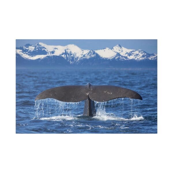 10203 - Whale Tail Winter - Canvas, Stretched Ready to Hang. - Image 5