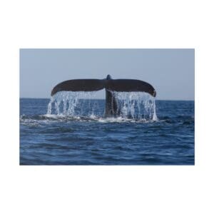 Whale tail splashing in ocean water.