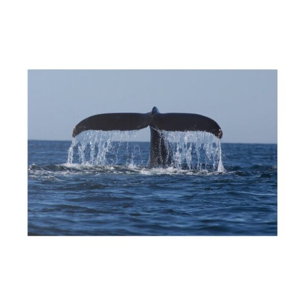 10205 - Whale Tail Up - Canvas, Stretched Ready to Hang. - Image 2