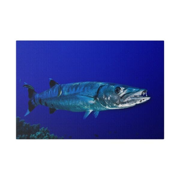 10222 - Barracuda Profile - Canvas, Stretched Ready to Hang. - Image 4