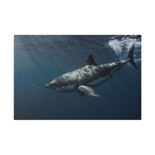 10224 - Great White Splash - Canvas, Stretched Ready to Hang. - Image 4