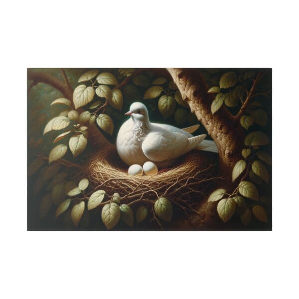 White dove sitting on nest with eggs.