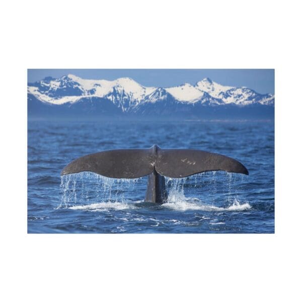 10203 - Whale Tail Winter - Canvas, Stretched Ready to Hang. - Image 2