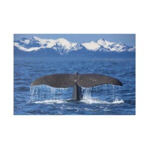 Whale tail above ocean, snowy mountains background.