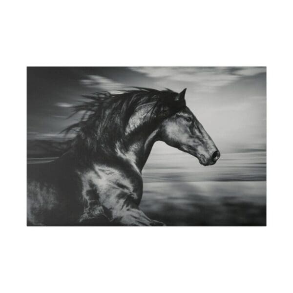 10067 - Horse Blaze - Canvas, Stretched Ready to Hang. - Image 2