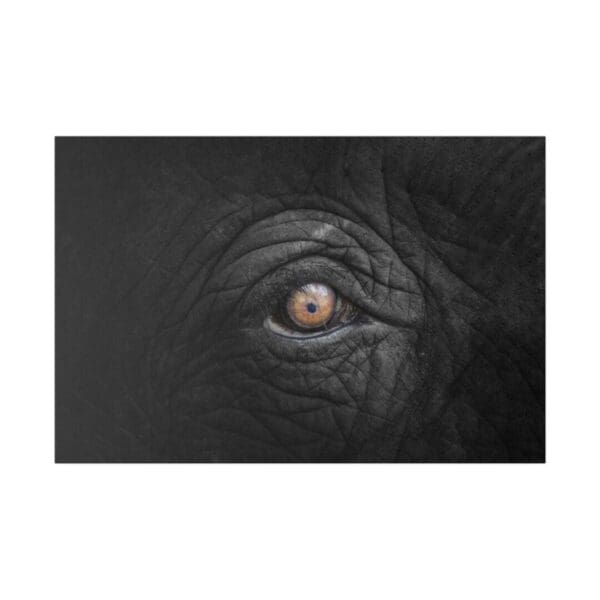 10347 - Elephant Eye Up Close - Canvas, Stretched Ready to Hang. - Image 2