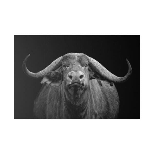 10267 - African Buffalo III - Canvas, Stretched Ready to Hang. - Image 2