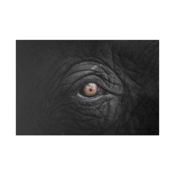 10347 - Elephant Eye Up Close - Canvas, Stretched Ready to Hang. - Image 3