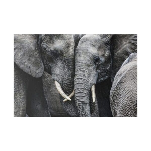 10346 - Elephant Love - Canvas, Stretched Ready to Hang. - Image 3