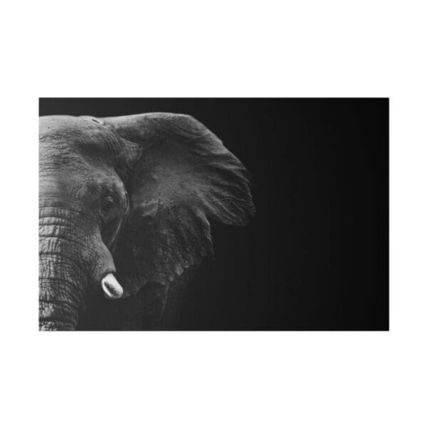 10344 - Elephant BW - Canvas, Stretched Ready to Hang. - Image 3