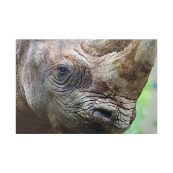 10106 - Rhino Profile - Canvas, Stretched Ready to Hang. - Image 3