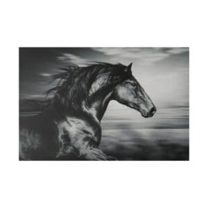 Black horse running in blurred motion.