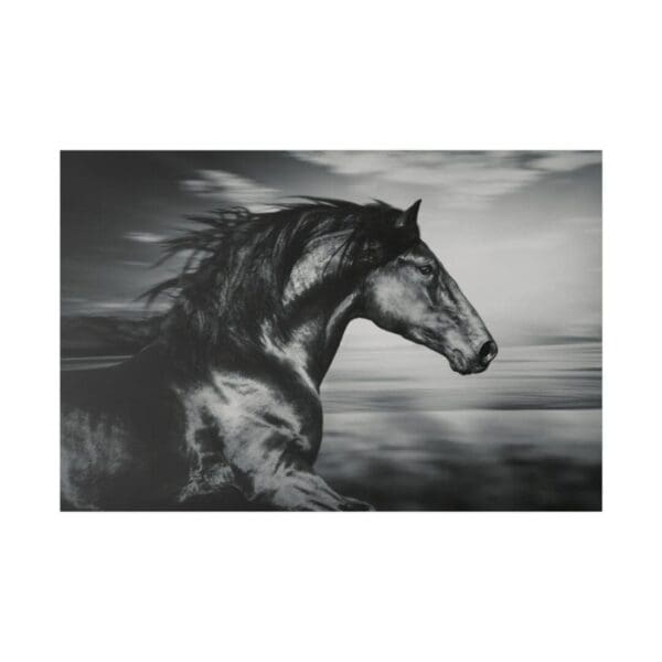 10067 - Horse Blaze - Canvas, Stretched Ready to Hang.