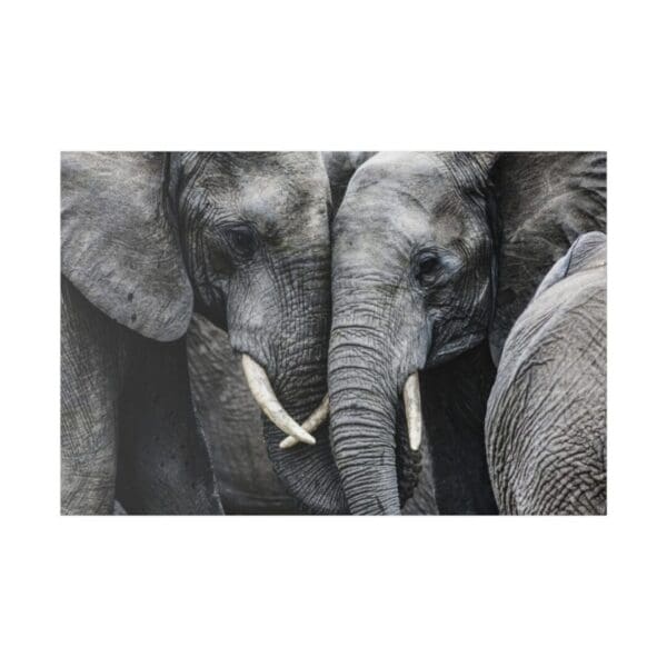 10346 - Elephant Love - Canvas, Stretched Ready to Hang.