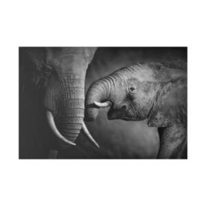 Elephant mother and calf in grayscale.