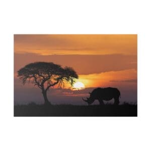 Rhino and tree at sunset silhouette.
