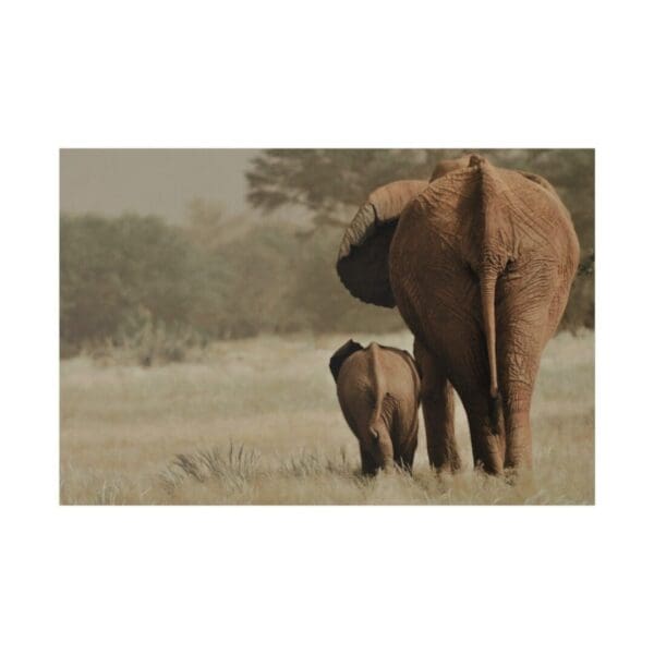Elephant and calf walking away from camera.