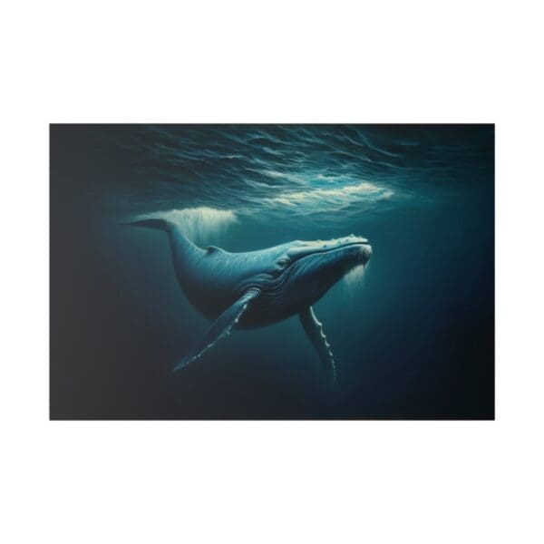Humpback whale swimming underwater.