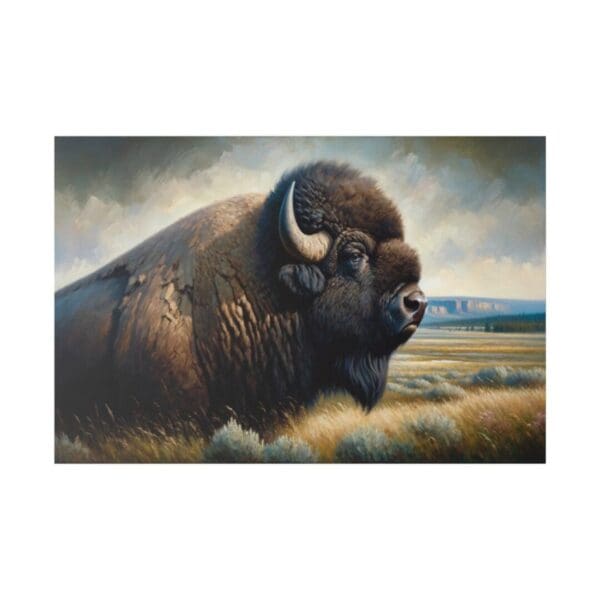 A large bison stands in a field.