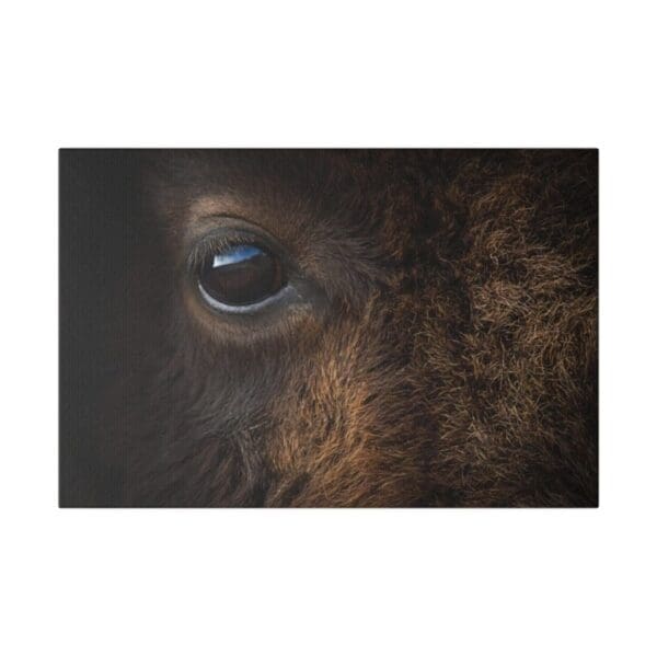 10266 - Buffalo Bison Eye - Canvas, Stretched Ready to Hang. - Image 4