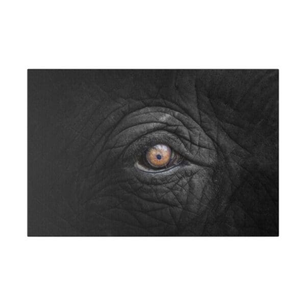 10347 - Elephant Eye Up Close - Canvas, Stretched Ready to Hang. - Image 4
