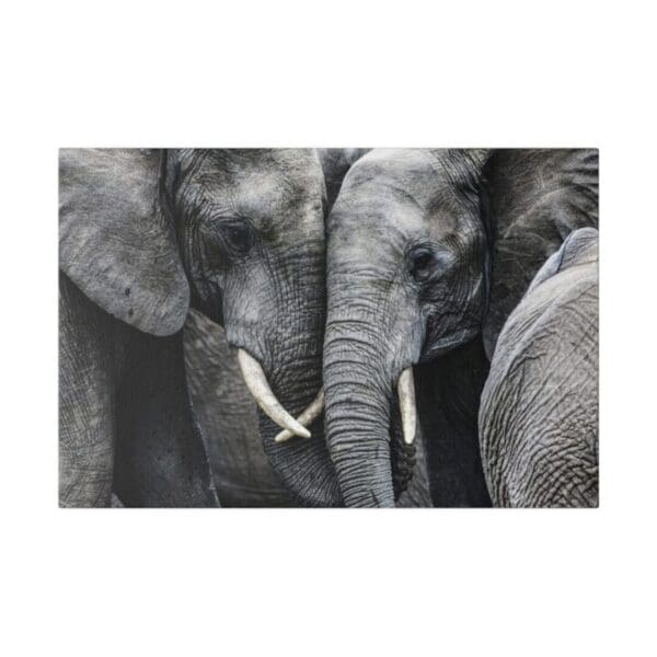 10346 - Elephant Love - Canvas, Stretched Ready to Hang. - Image 4