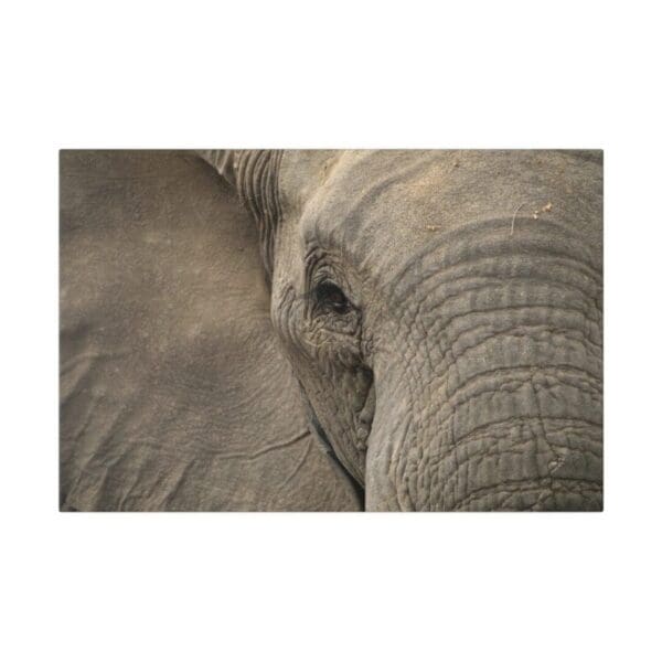 10332 - Elephant Eye II - Canvas, Stretched Ready to Hang. - Image 4