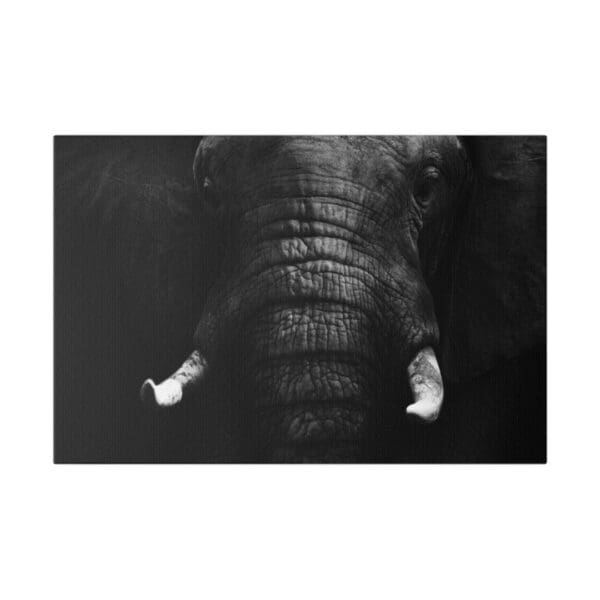 10327 - Elephant BW III - Canvas, Stretched Ready to Hang. - Image 4