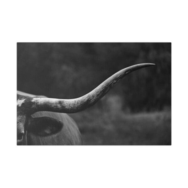 10028 - Longhorn Half Horn - Canvas, Stretched Ready to Hang. - Image 4