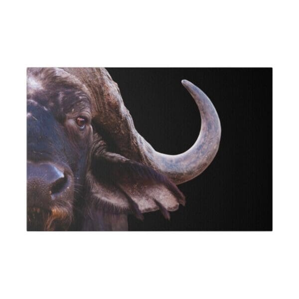 10256 - African Buffalo II - Canvas, Stretched Ready to Hang. - Image 4