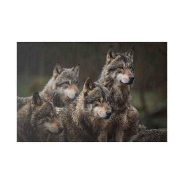 13310 - Wolf Group - Canvas, Stretched Ready to Hang. - Image 5