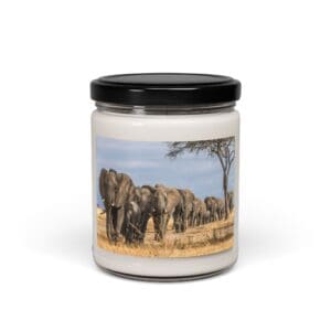 10268CA - Candles 9oz - 10 Different Scents