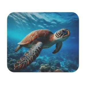 Sea turtle swimming in clear ocean water.