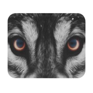 Wolf eyes staring intensely, close-up view.