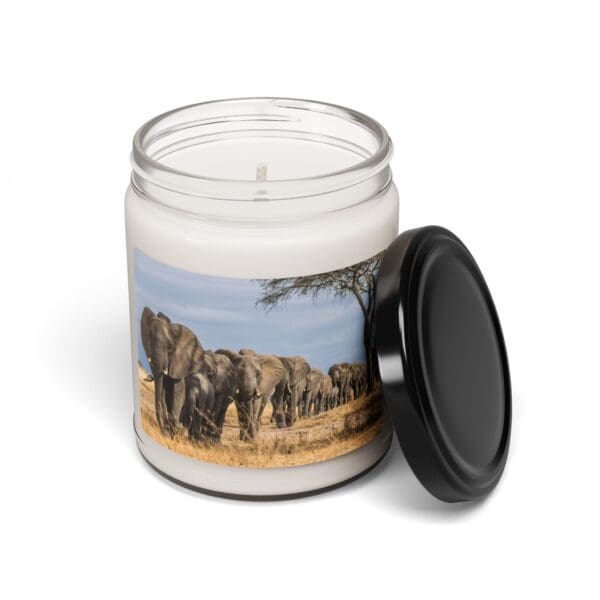 10268CA - Candles 9oz - 10 Different Scents - Image 10