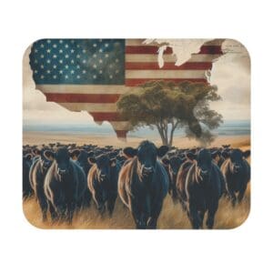 Cattle herd with American flag background.