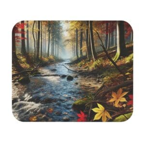 Autumn forest stream with colorful leaves.