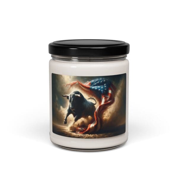 50119CA - Candles 9oz - 10 Different Scents